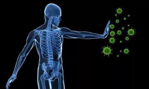 微信图片_20190822134239