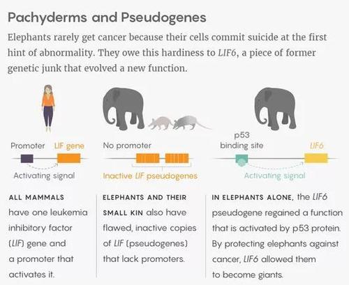 微信图片_20190907215100