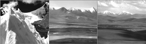 由于变暖，青藏高原上的冰川呈现消融趋势