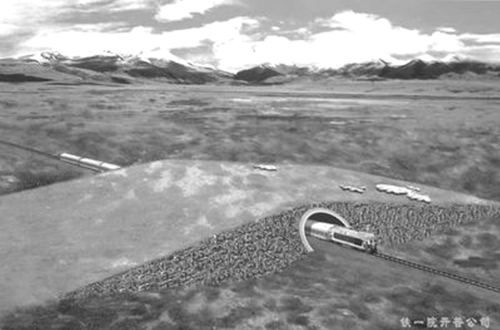 青藏铁路全线建立了33个野生动物通道。图为上跨式立交动物通道。