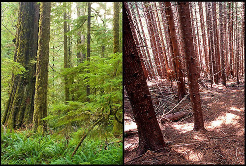 微信图片_20210902211834