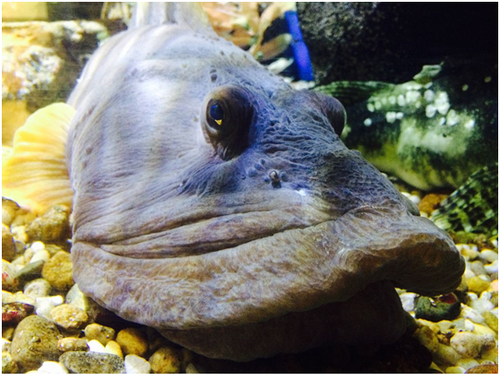 微信图片_20210902211839