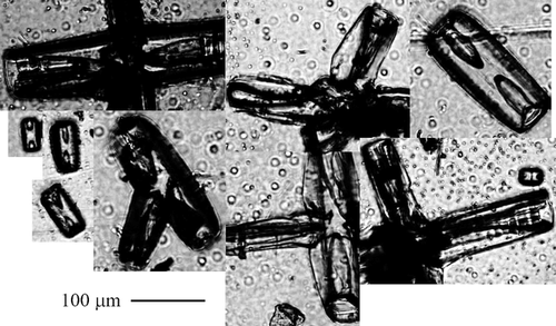 微信图片_20210902211851