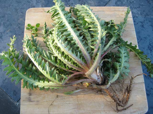 微信图片_20240530075809 微信图片_20240530075809