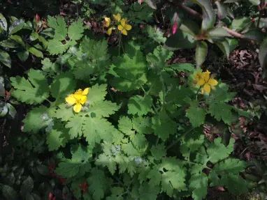 微信图片_20240530075812 微信图片_20240530075812