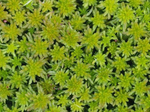 微信图片_20240530075821 微信图片_20240530075821