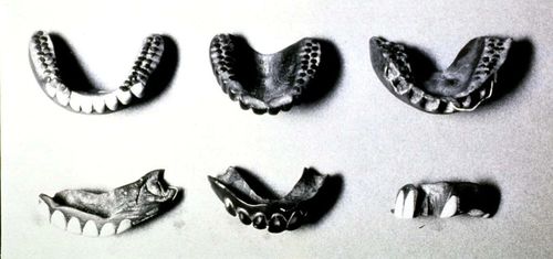 微信图片_20250814070342 微信图片_20250814070342