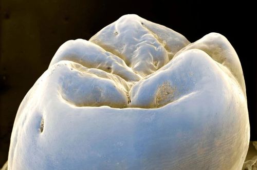 微信图片_20250814070350 微信图片_20250814070350