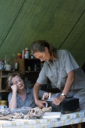 微信图片_20251004073311