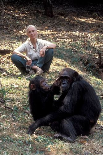 微信图片_20251004073318