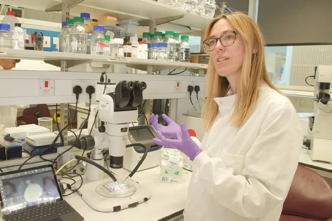 微信图片_20251019083725 微信图片_20251019083725