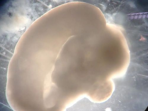 微信图片_20251019083731 微信图片_20251019083731