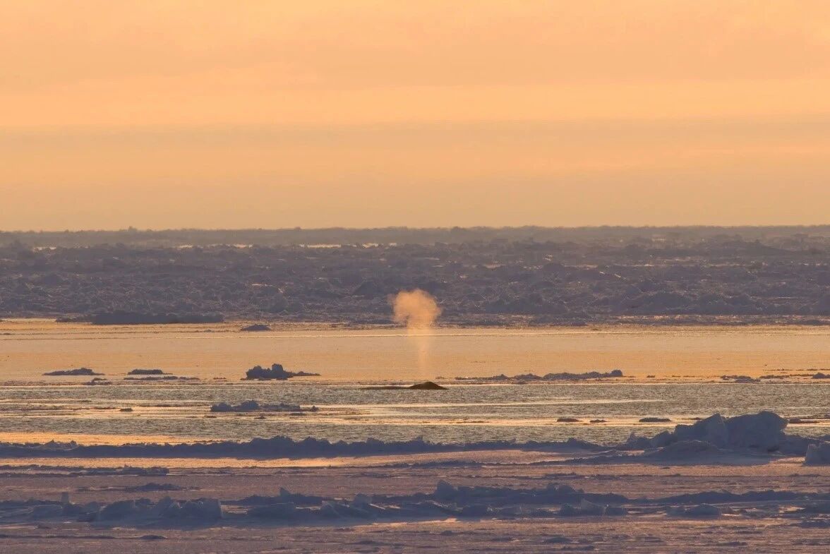 微信图片_20251106204949 微信图片_20251106204949