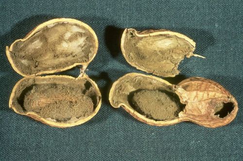 微信图片_20251106205820