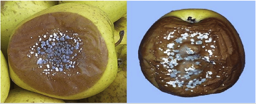 微信图片_20251106205825