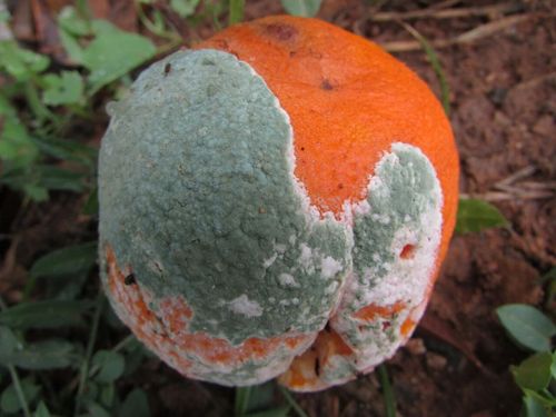 微信图片_20251106205828