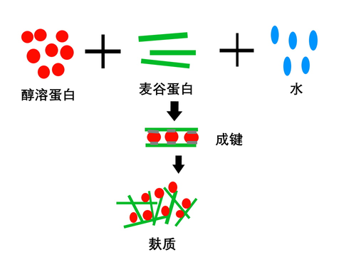 微信图片_20251115195056