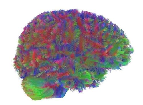 微信图片_20251201205706