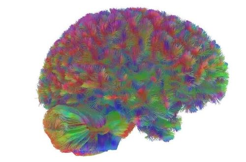 微信图片_20251201205709