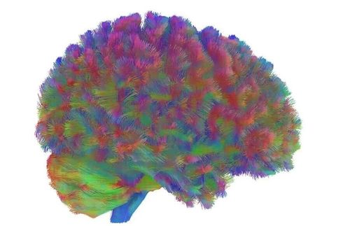 微信图片_20251201205712