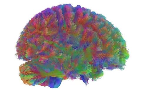 微信图片_20251201205715