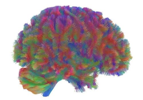 微信图片_20251201205718