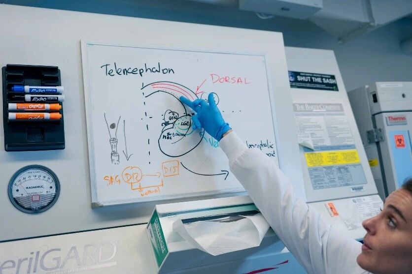 微信图片_20251209082349 微信图片_20251209082349