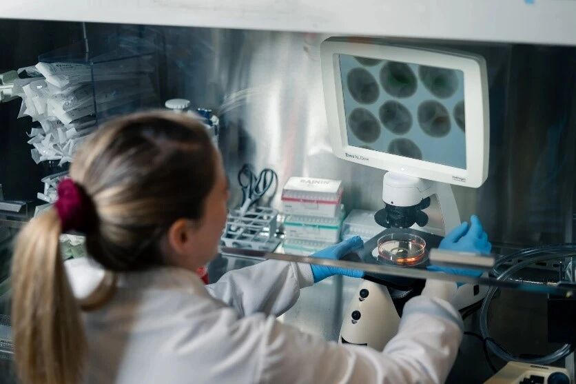 微信图片_20251209082352 微信图片_20251209082352