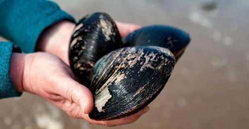 微信图片_20260101110850 微信图片_20260101110850