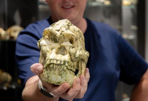 微信图片_20260106083748 微信图片_20260106083748