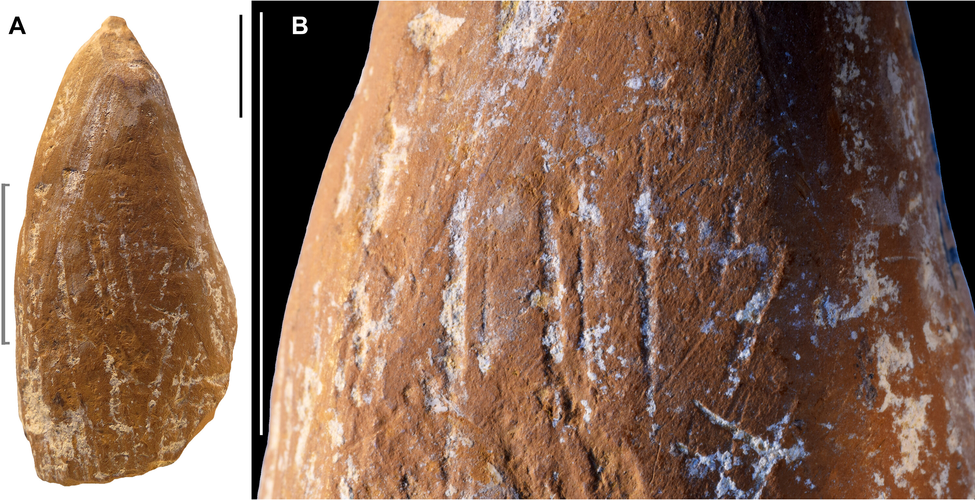微信图片_20260113202442
