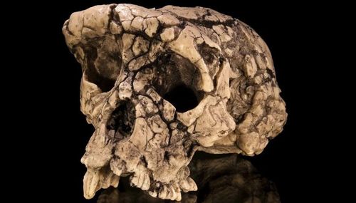 微信图片_20260117082453