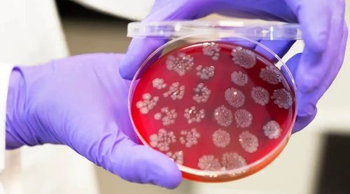 微信图片_2026-02-06_102454_000