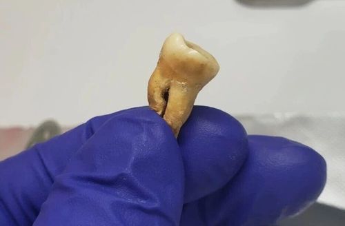 微信图片_2026-02-06_102502_424