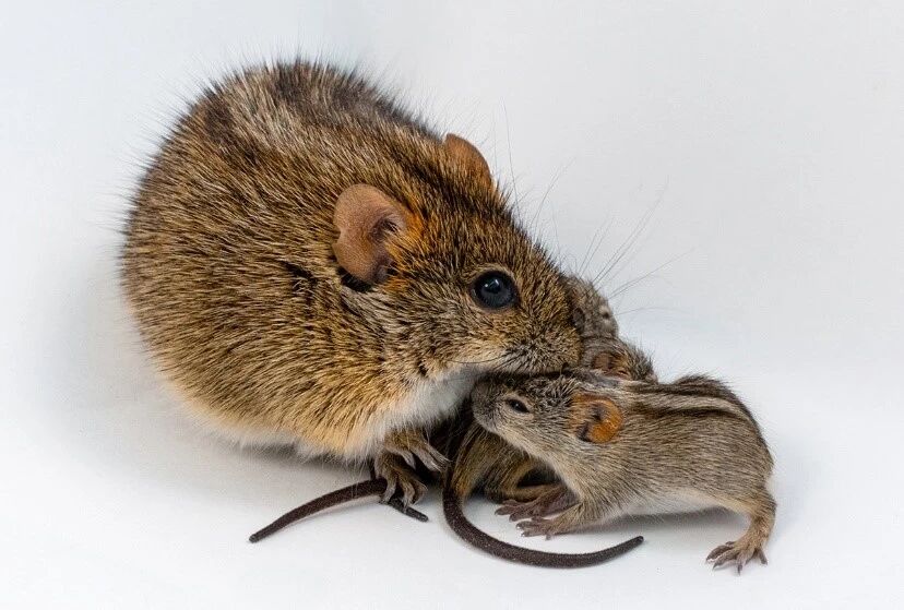 微信图片_2026-02-28_095108_148 微信图片_2026-02-28_095108_148