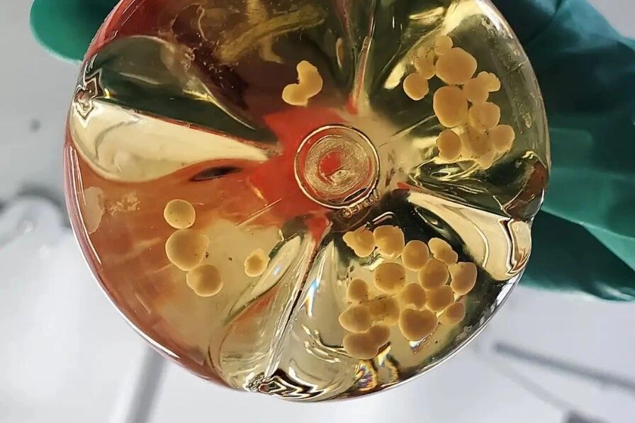 微信图片_2026-02-28_095111_300 微信图片_2026-02-28_095111_300