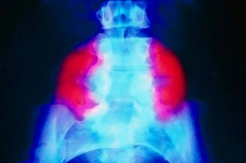 微信图片_2026-03-05_203019_510