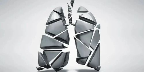 微信图片_2026-03-26_065638_762 微信图片_2026-03-26_065638_762