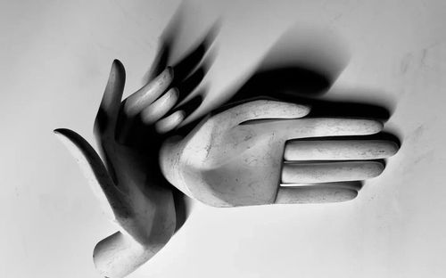 微信图片_2026-04-02_201351_556