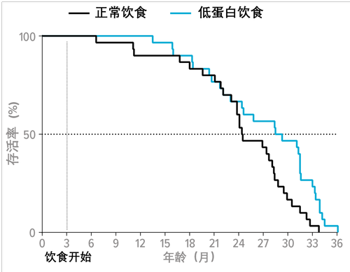 微信图片_2026-04-09_055807_135 微信图片_2026-04-09_055807_135