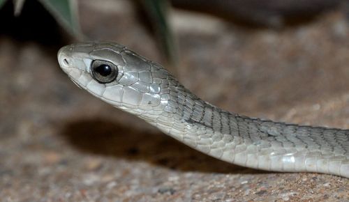 微信图片_2026-04-14_071839_304 微信图片_2026-04-14_071839_304