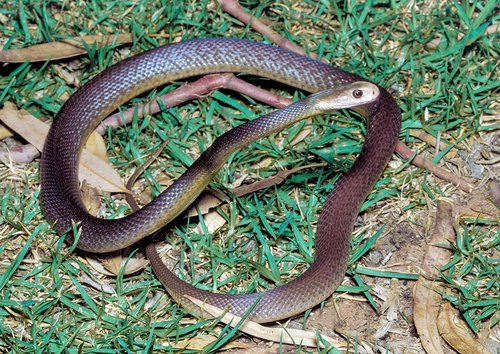 微信图片_2026-04-14_071845_506 微信图片_2026-04-14_071845_506