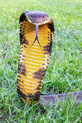 微信图片_2026-04-14_071848_320 微信图片_2026-04-14_071848_320