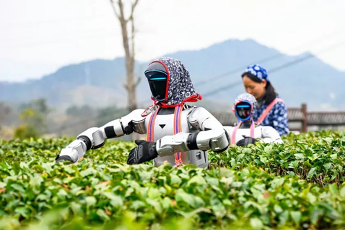 微信图片_2026-08-17_194452_935