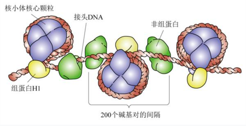 微信图片_2026-10-24_201358_052 微信图片_2026-10-24_201358_052