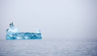 http://www.nature.com/polopoly_fs/7.12482.1379348129!/image/Iceberg.jpg_gen/derivatives/landscape_630/Iceberg.jpg