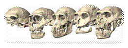 说明: http://www.nature.com/polopoly_fs/7.14416.1387275619!/image/skulls_lord10HR_row4left1.jpg_gen/derivatives/landscape_630/skulls_lord10HR_row4left1.jpg