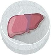 http://www.nature.com/polopoly_fs/7.28335.1438011212!/image/Mini-liver.jpg_gen/derivatives/fullsize/Mini-liver.jpg